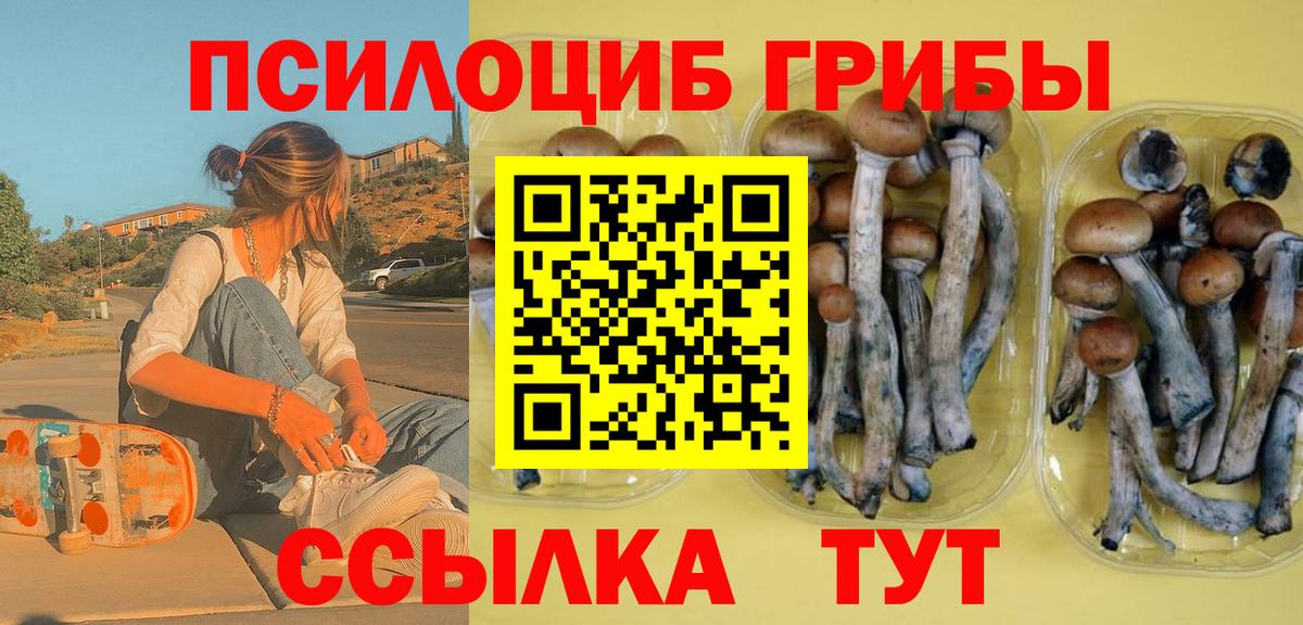 Борисоглебск  Псилоцибиновые грибы Cubensis  Вход с VPN 